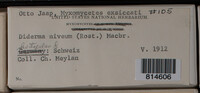 Image Associated With the Occurence